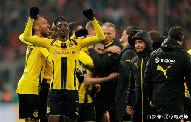 强的前中期 强的前中期